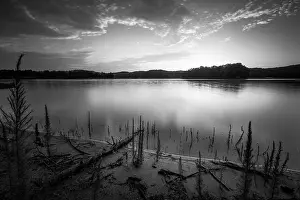 Driftwood Prints: Wahoo Creek Park is a recreation area on the north end of Lake Lanier in Hall County
