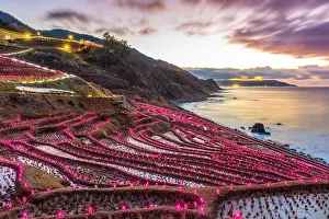 Wajima, Japan at Shiroyone Senmaida rice terraces night light up