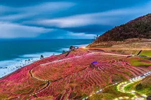 Wajima, Japan at Shiroyone Senmaida rice terraces night light up