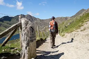 Walks Prints: Walker by direction sign on Pyg Track at Bwlch y Moch walking towards Mt Snowdon in mountains