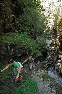 Walkers Prints: Walkers on a laddercllimbing in the velky sokol Valley Slovensky Raj National Park Slovakia