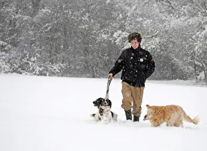 In Winter Prints: Walking dogs in winter snow Model Released