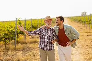 Vines Prints: Walking along a dusty path in a sunny vineyard
