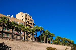Salt Water Prints: wall, cyprus, palm, firmament, sky, lawn, green, building, blue, house