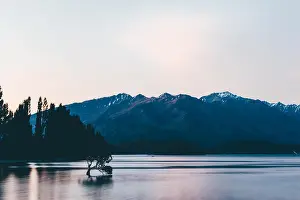 The Wanaka Tree at sunset
