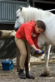 Hooves Prints: Wandlitz, a girl scrapes her pony from the hooves