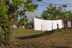 Housework Prints: Wash clothes on a rope with clothespins, Wet clothes drying on the tree