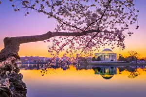 Washington, DC at the Jefferson Memorial during spring