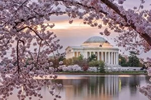 Images Dated 10th April 2015: Washington DC, USA at the Jefferson Memorial and Tidal Basin during spring season