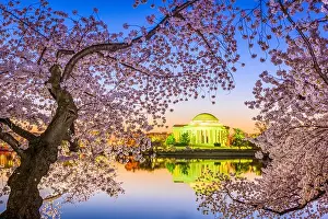 Washington DC, USA at the Jefferson Memorial and Tidal Basin during spring season