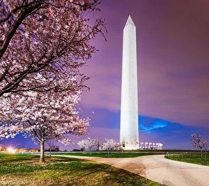 Images Dated 6th April 2015: Washington DC, USA in spring season on the National Mall