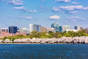 Images Dated 10th April 2015: Washington DC, USA in spring season at the Tidal Basin with the Rossyln business district skyline