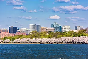 Washington DC, USA in spring season at the Tidal Basin with the Rossyln business district skyline in the background