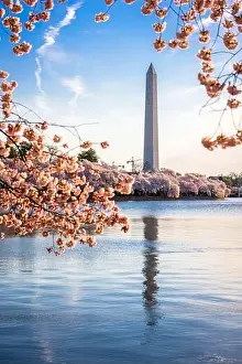 Washington DC, USA at the tidal basin with Washington Monument in spring season