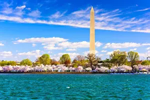 Washington DC, USA at the tidal basin with Washington Monument in spring season