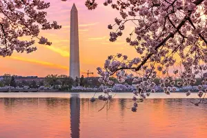 Washington DC, USA at the tidal basin with Washington Monument in spring season