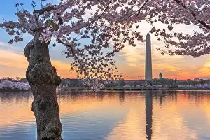 Washington DC, USA at the tidal basin with Washington Monument in spring season