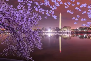 Washington DC; USA at the tidal basin with Washington Monument in spring season