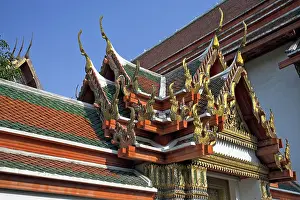 Naga Prints: Wat Po Bangkok Thailand