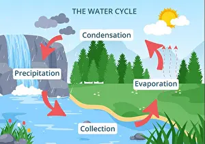 Precipitation Prints: Water Cycle of Evaporation, Condensation