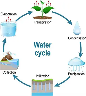 Rising Prints: Water cycle. Schematic diagram representation of the water cycle in nature