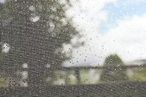 Disgust Prints: Water droplets on the screen door after the rain and the scenery through the screen door