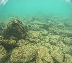 Submerge Prints: Under water at Poipu beach in Kauai, Hawaii, USA