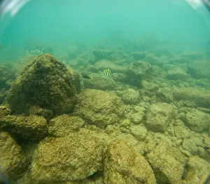 Submerge Prints: Under water at Poipu beach in Kauai, Hawaii, USA