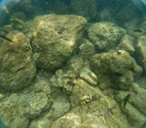Submerge Prints: Under water at Poipu beach in Kauai, Hawaii, USA