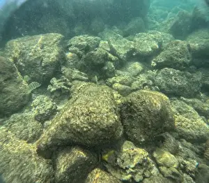 Submerge Prints: Under water at Poipu beach in Kauai, Hawaii, USA