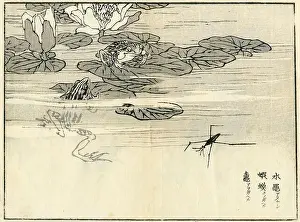 Stillness Prints: Water striders and Toad and Pong Frog ( Gerridae / Bufo bankorensis / Rana nigromaculata ) / Kono Bairei Album 1886
