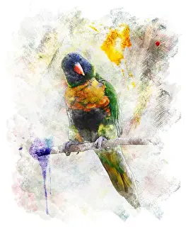 Perch Prints: Watercolor Digital Painting Of Parrot (Rainbow Lorikeet)