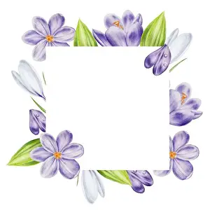 Fragility Prints: Watercolor frame, template, with purple and white blooming crocus flowers isolated on white background