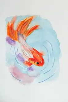 Goldfish Prints: Watercolor. Illustration of goldfish in water. White background