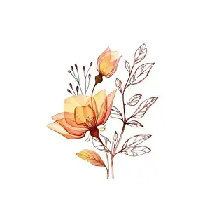 Watercolor Rose bouquet. Transparent orange flowers with branch and leaves isolated on white