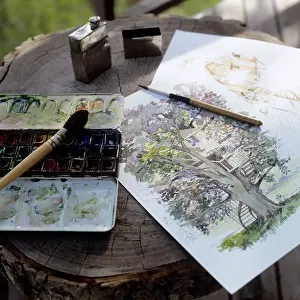 Stool Prints: Watercolour palette and paintings on a tree stump