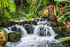 Miami Prints: A waterfall framed in a lush tropical setting at Jungle Island in Miami, Florida