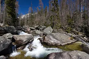 Carpathian Prints: Waterfall in mountains, Vodopády Studeného potoka