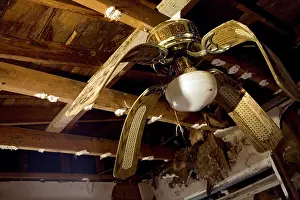 Color Photography Prints: A waterlogged ceiling fan in a home destroyed by hurricane Katrina in New Orleans Pontchartrain Park neighborhood