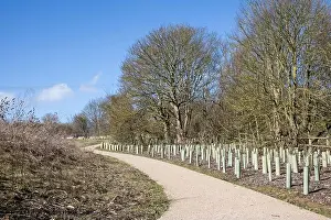 Pathways Prints: Waterside Country Park, Bishops Stortford