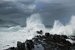 Wave, surf on rocky coast, Tsitsikamma National Park, South Africa