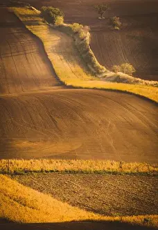 Moravia Prints: Wavy autumn fields in Moravian Tuscany, Czech Republic