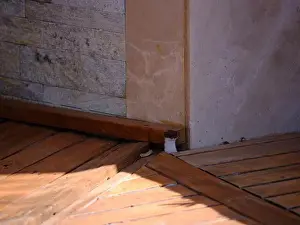 Book Cover Prints: Weasel hiding in wooden floor in a hole outdoor in a sunny day