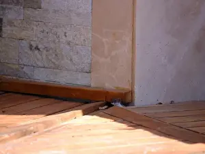 Book Cover Prints: Weasel hiding in wooden floor in a hole outdoor in a sunny day