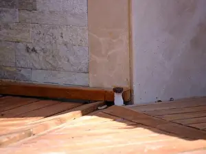 Book Cover Prints: Weasel hiding in wooden floor in a hole outdoor in a sunny day
