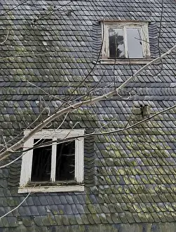Natural Preserve Prints: Weathered house with slate facade and visible branches in front of the windows