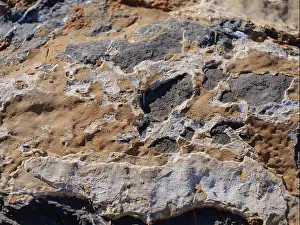 Rocky Coast Prints: Weathered limestone surface with irregular structure and natural color contrasts on the rocky coast of Mallorca