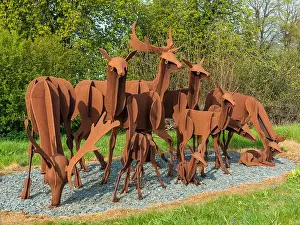 Roe Deer Prints: Weathered rusted steel sculpture of a group of roe deer by Brian and George Fell in Bedale