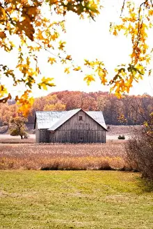 Farmstead Prints: Weathered Wood Barn in Autumn