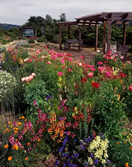 Beds Prints: Welcome to CARMEL VALLEY VILLAGE sign with flower display CALIFORNIA